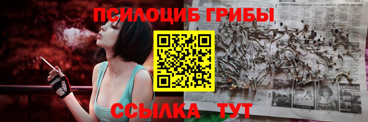 Псилоцибиновые грибы ЛСД  Вход с VPN  Галлюциногенные грибы Cubensis  Барнаул 