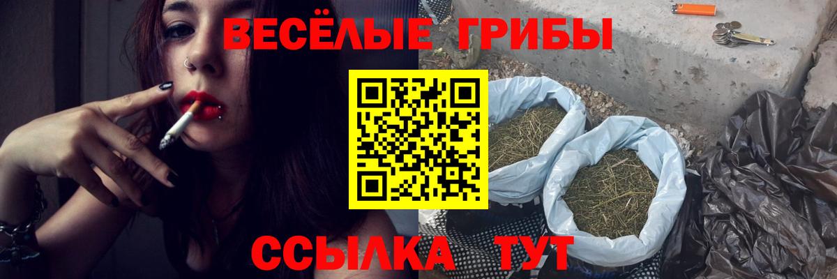 Галлюциногенные грибы MAGIC MUSHROOMS Барнаул